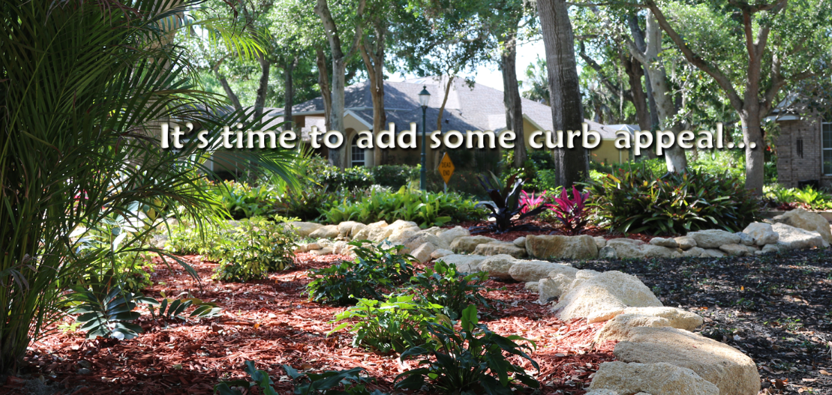 New landscape and coquina rock installation