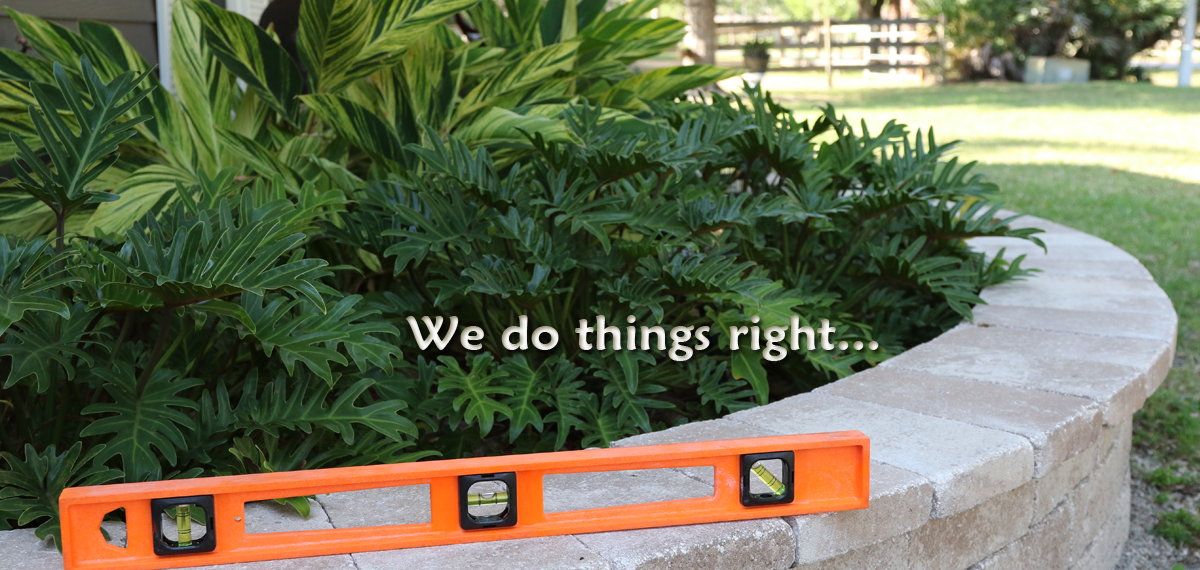 Level hardscape border surrounding tropical plants